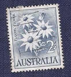Australia.1959 . Flowers  2`-    Flannel Flower