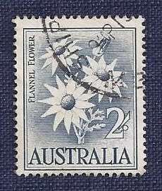 Australia.1959 . Flowers  2`-    Flannel Flower