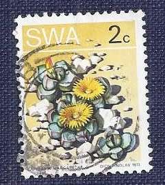 SWA .1973 .Desert Plant 2c    Lapidaria margaretae (the Karoo rose)