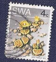 SWA .1973 .Desert Plant 4c    Lithops karasmontana  (a.k.a. Stone plant)