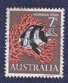 Australia.1966 .Birds & Marine Life - Decimal Currency  7c  Humbug Fish