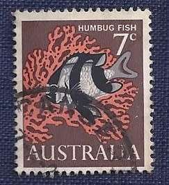 Australia.1966 .Birds & Marine Life - Decimal Currency  7c  Humbug Fish