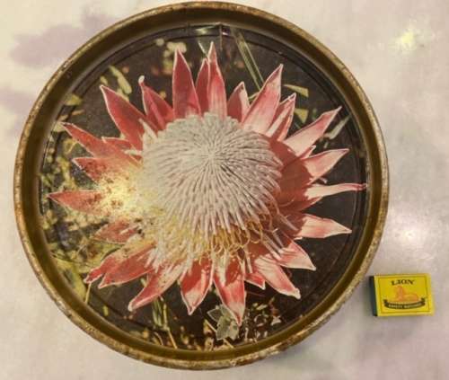 Westons Protea Biscuit Tin