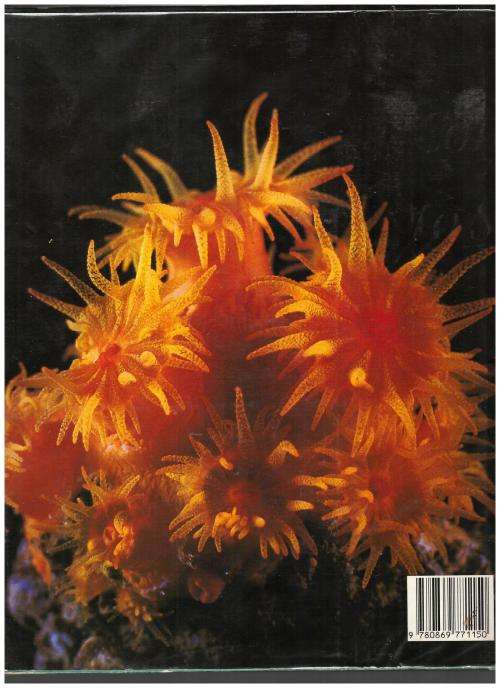 The Living Shores of Southern Africa  --  Margo & George Branch