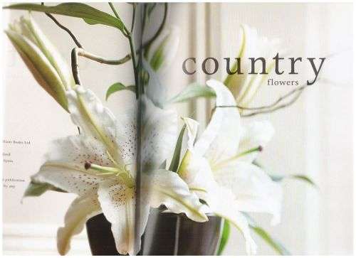 Country Flowers -- Chris Jones