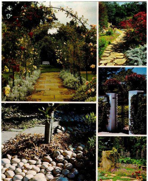 Garden design for Southern Africa - Sima Eliovson