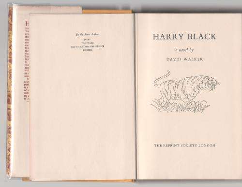 Harry Black: A Novel -- David Walker