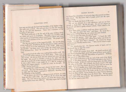 Harry Black: A Novel -- David Walker