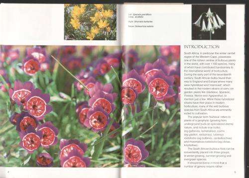 Grow Bulbs -- Graham Duncan