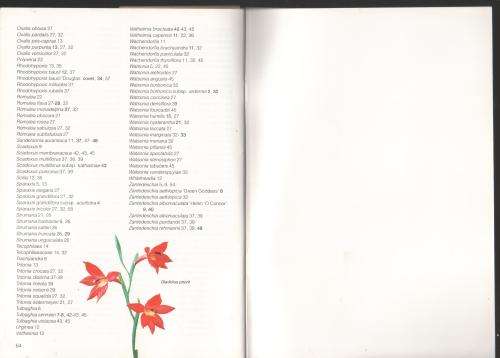 Grow Bulbs -- Graham Duncan