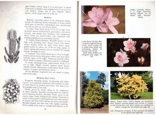 Shrubs for Foliage and Flowers -- Conrad Lighton