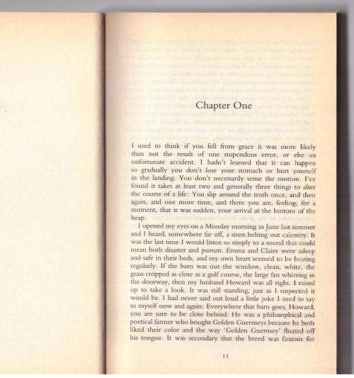 A Map of the World -- Jane Hamilton