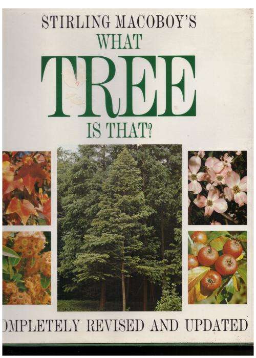 What Tree Is That? -- Stirling Macoboy