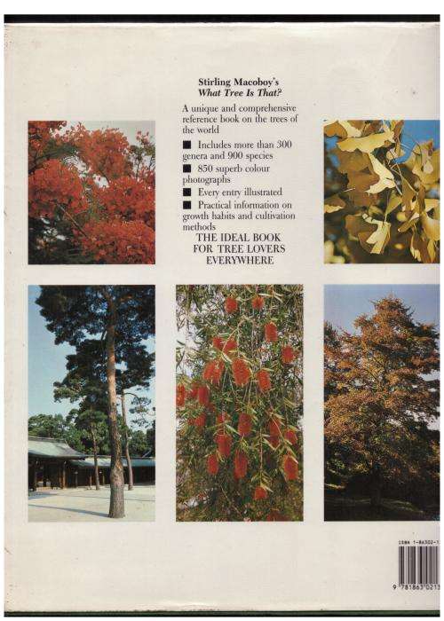 What Tree Is That? -- Stirling Macoboy