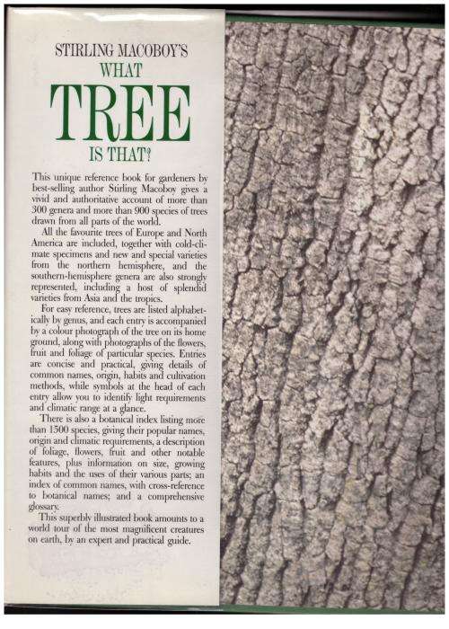 What Tree Is That? -- Stirling Macoboy