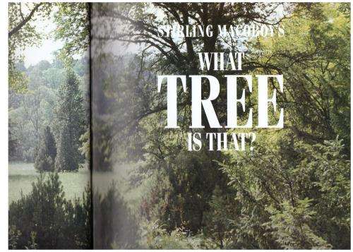 What Tree Is That? -- Stirling Macoboy
