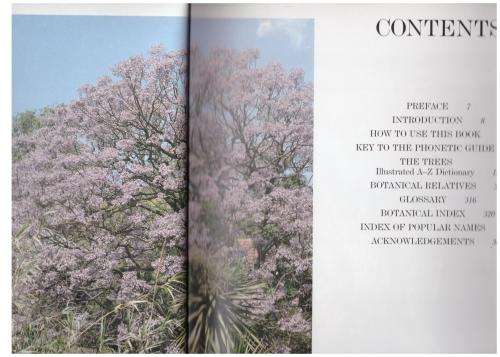 What Tree Is That? -- Stirling Macoboy