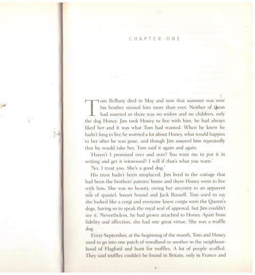 Not in the Flesh -- Ruth Rendell