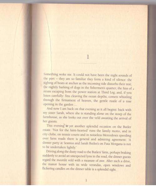 Leap Year: A Novel -- Etienne Van Heerden