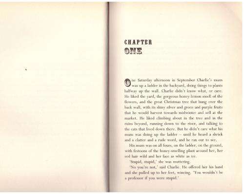 Lionboy: Big Secrets,big Cats,big Adventure -- Zizou Corder