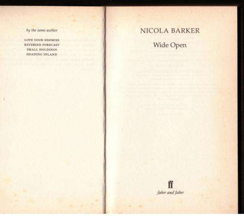 Wide Open -- Nicola Barker