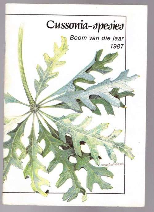Cussonia-spesies: boom van die jaar 1987 -- C. J. Esterhuyse