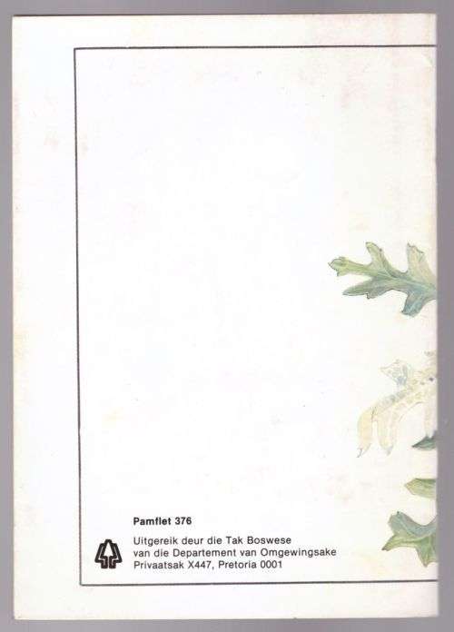 Cussonia-spesies: boom van die jaar 1987 -- C. J. Esterhuyse