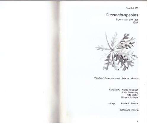 Cussonia-spesies: boom van die jaar 1987 -- C. J. Esterhuyse