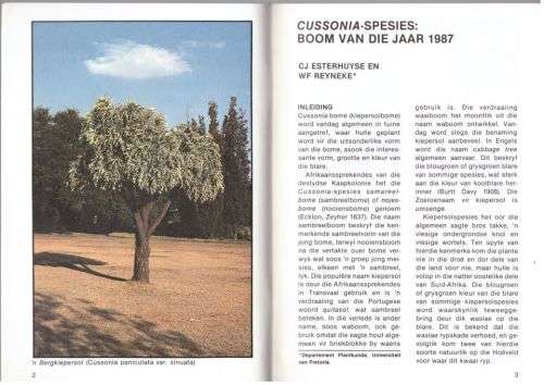Cussonia-spesies: boom van die jaar 1987 -- C. J. Esterhuyse