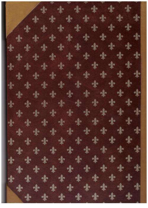 Illustrated Travels: A Record of Discovery [Vol. 6 only] -- H. W. Bates [Editor]