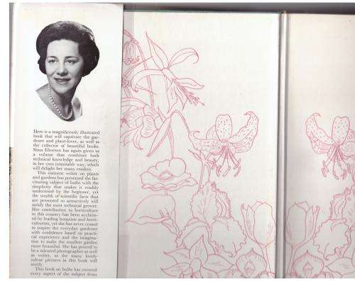 Bulbs For The Gardener in the Southern Hemisphere  --  Sima Eliovson