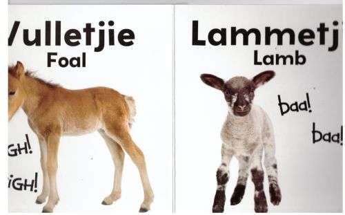 Baba Diere / Baby Animals