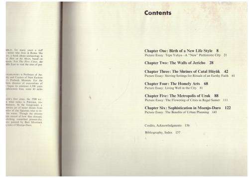 The First Cities  --  Dora Jane Hamblin