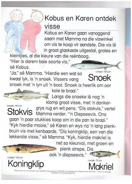 StorieMuis: Boek 24