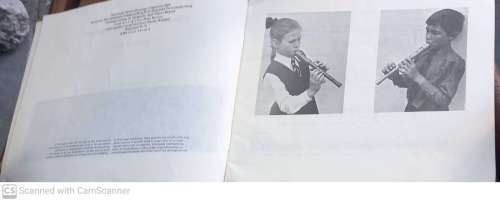 Sing en Fluit: `n Tweede Blokffluitboek vir beginners--  Adele Jooste