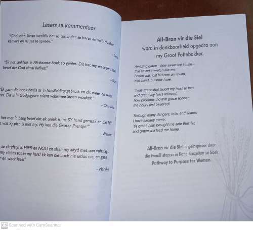 All bran vir die siel: 12 stappe vir `n geestelike detoks --  Susan Coetzer