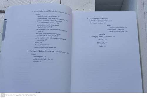 Beyond 2012: A Shaman`s Call to Personal Change  --  James Endredy