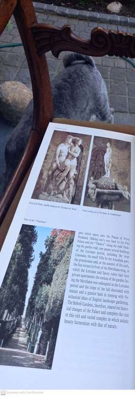 Pitti Palace: Guide to the Collections and Complete Catalogue of the Palatine Gallery
