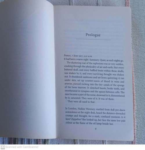 My Dear, I Wanted to Tell You: A Novel -- Louisa Young