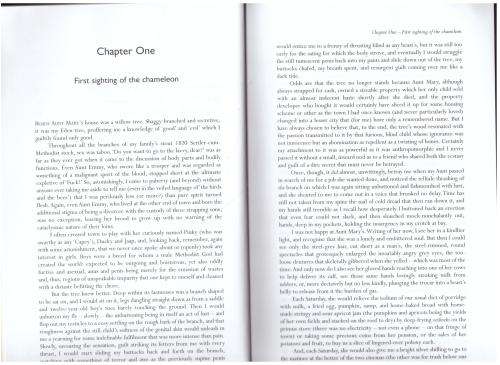 Mr Chameleon: An Autobiography  --  Tatamkhulu Afrika