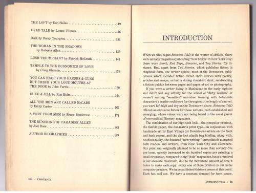 Between C & D: New Writing from the Lower East Side Fiction Magazine --  Joel Rose, Catherine Texier