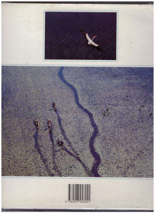 Okavango from the air  -- Clive Walker