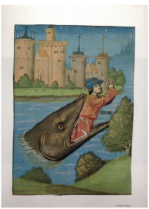 Whales  --  Jacques Cousteau, Yves Paccalet