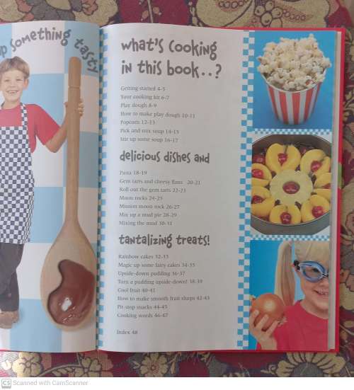 The Cooking Book -- Jane Bull