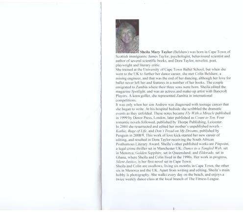 Lari`s Castle: A Romantic Mystery -- Sheila Mary Taylor