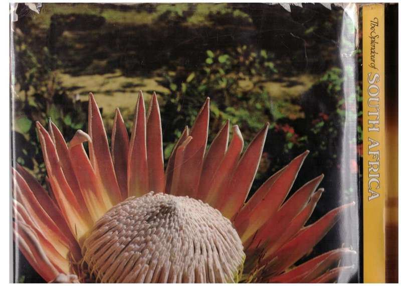 The Splendour of South Africa -- R.I.B. Webster