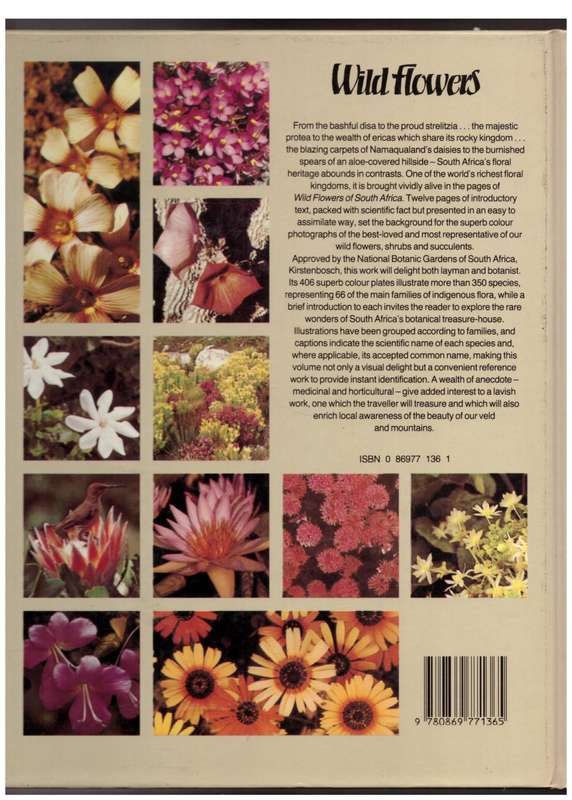 Wild Flowers of South Africa