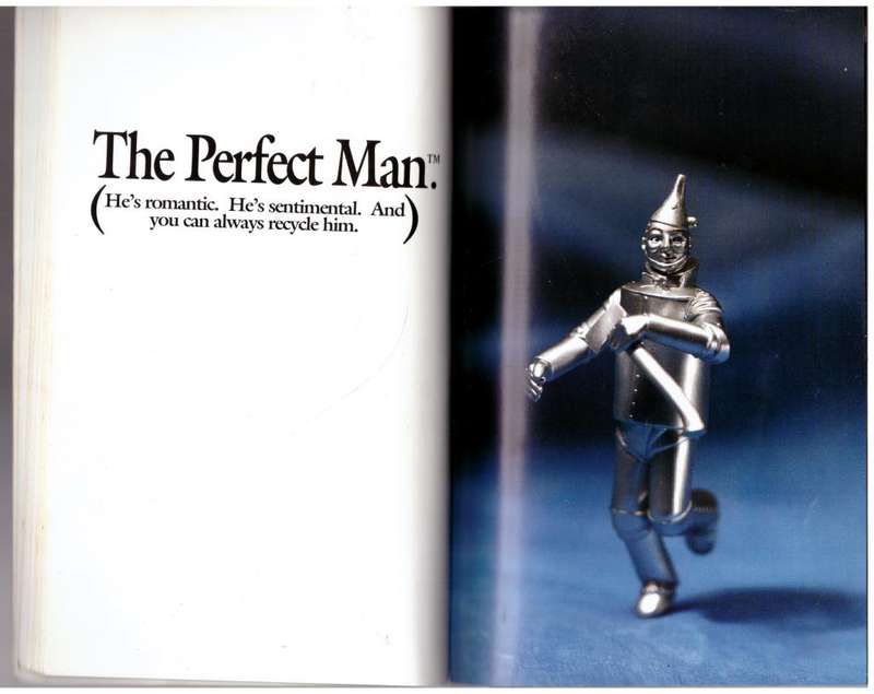 The Perfect Man: A complete guide to 24 perfect men