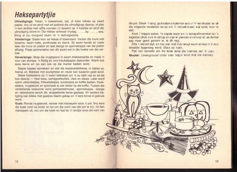 Jolyt in die Tienertyd - Lidia van Niekerk