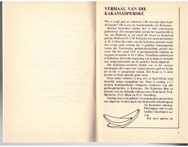 Die Sonskynvrug -- Sophie Van Heerden